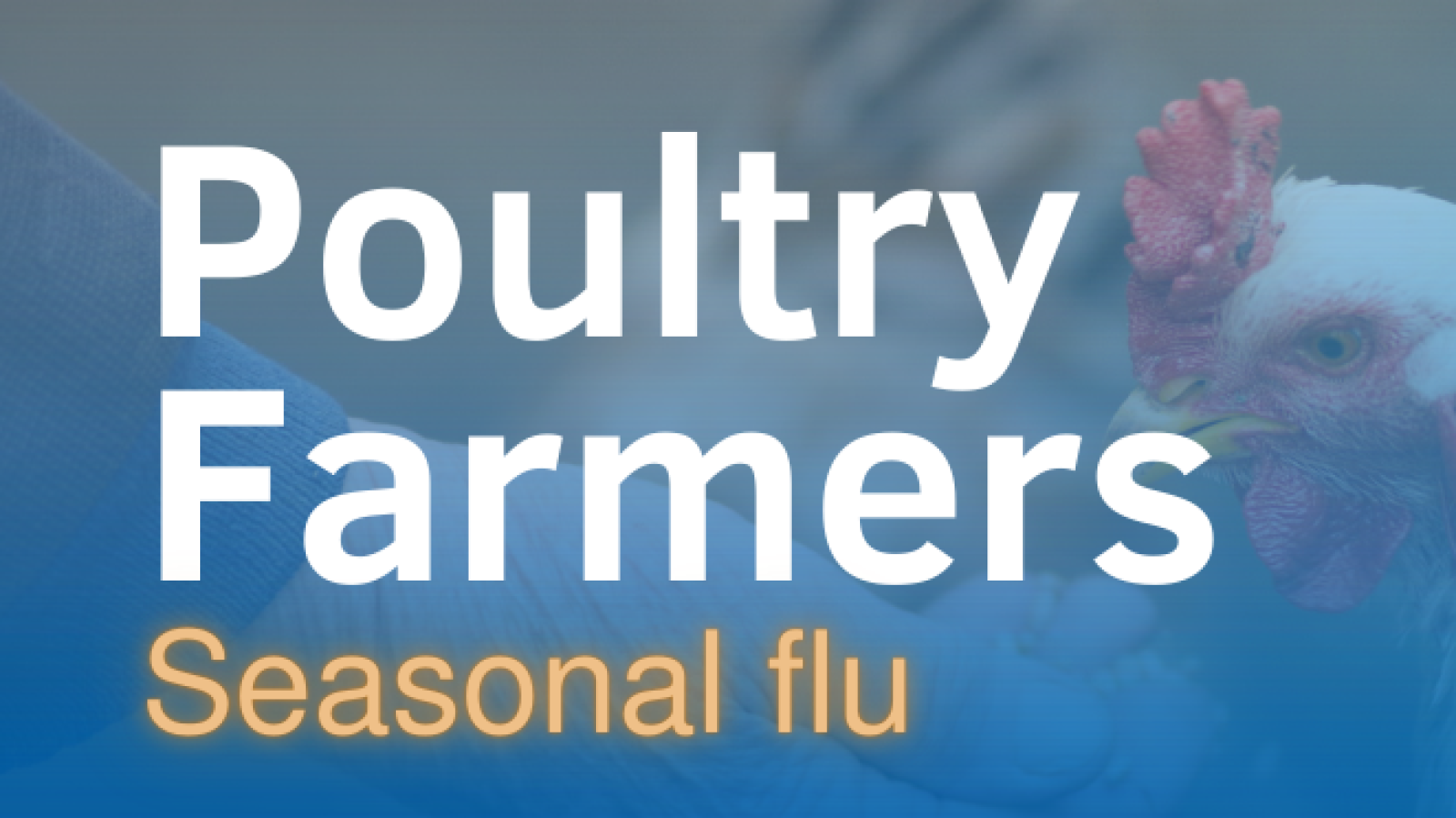 flu message for poultry farmers