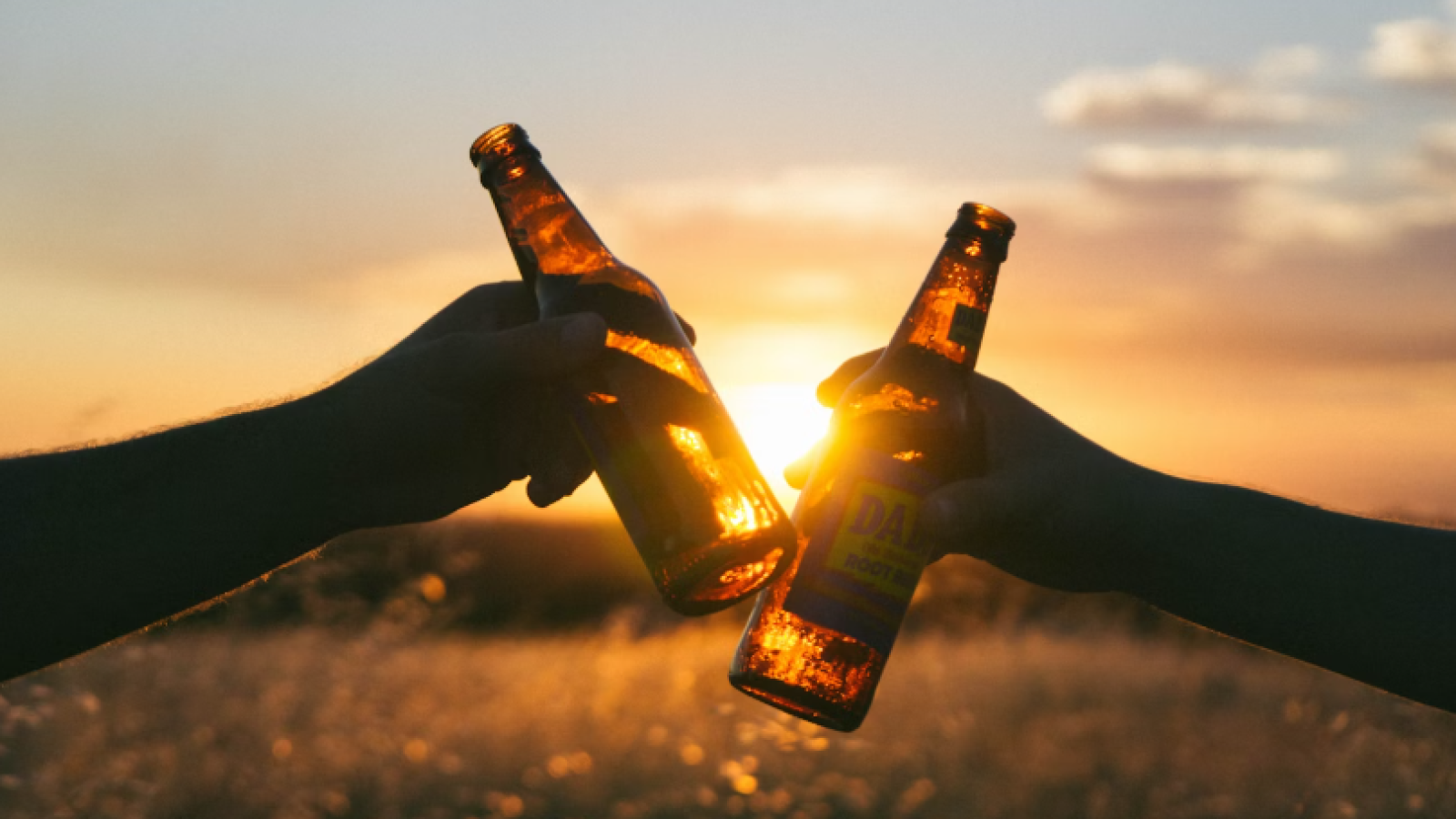 two hands cheering on with two bottles of beer
