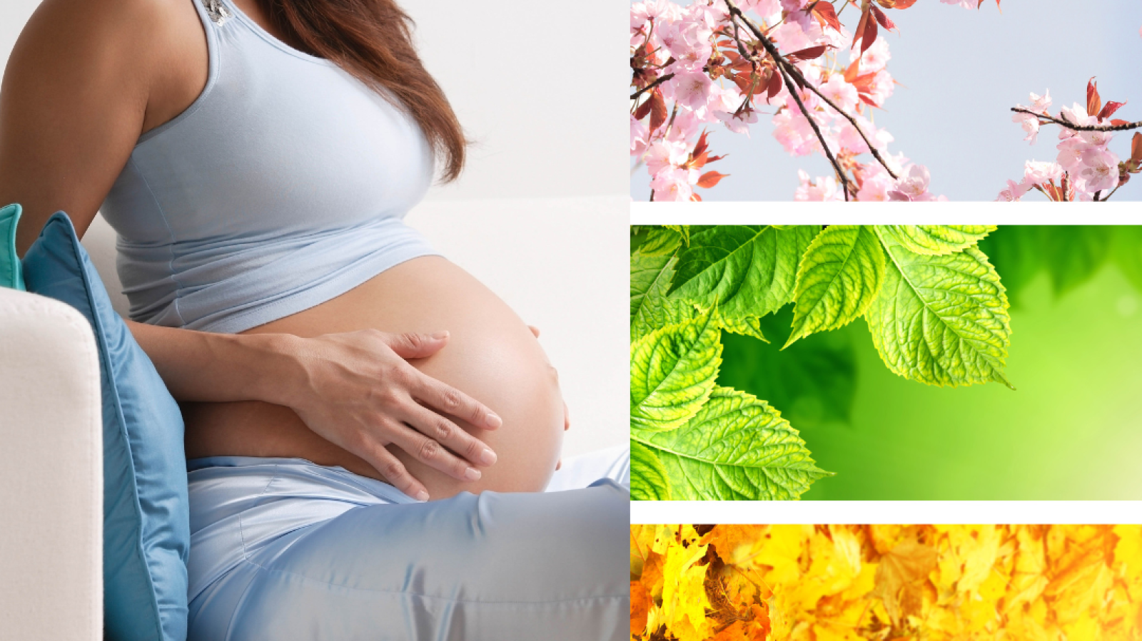 pregnant woman