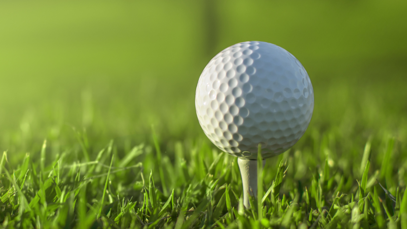Golf ball
