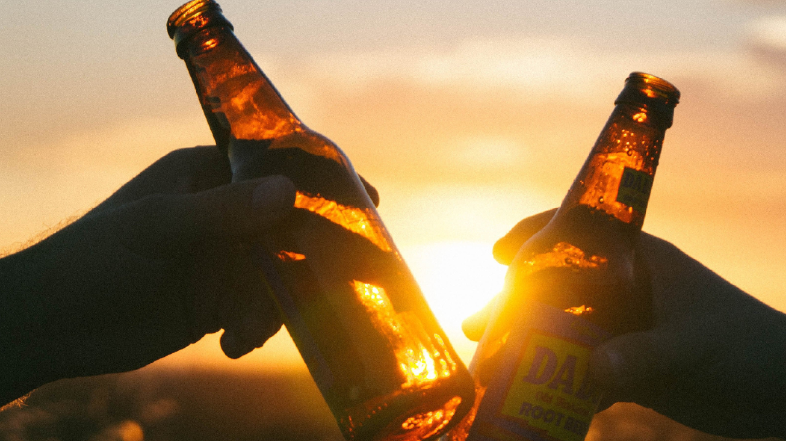 Photograph of beer bottles 