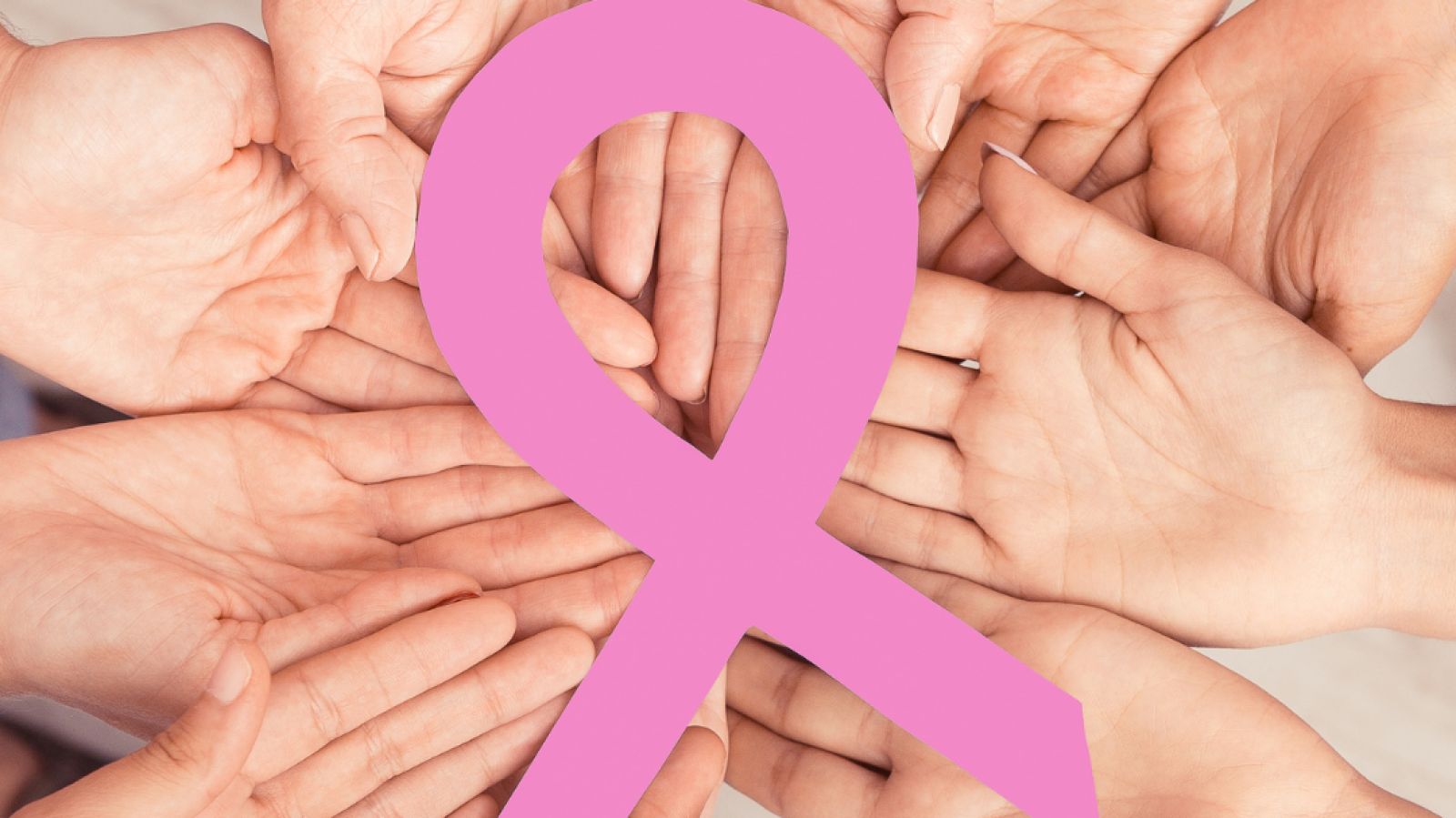 Photograph of women's hands holding breast cancer awareness ribbon in support, during Breast Cancer Awareness Month.
