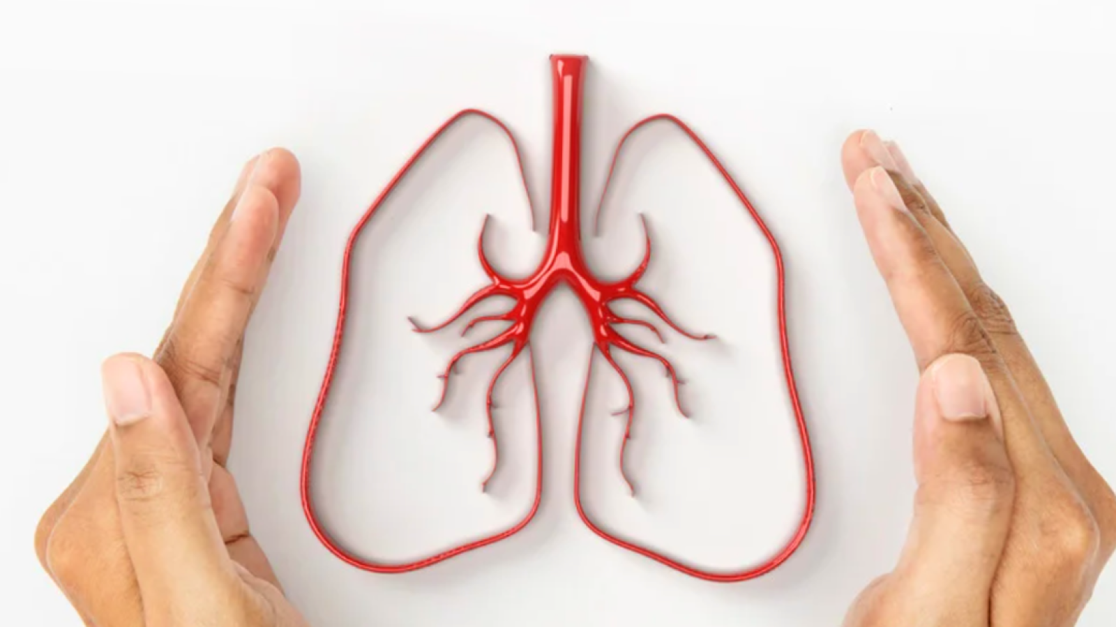 Graphic showing two hands around lungs to mark Lung Cancer Awareness Month