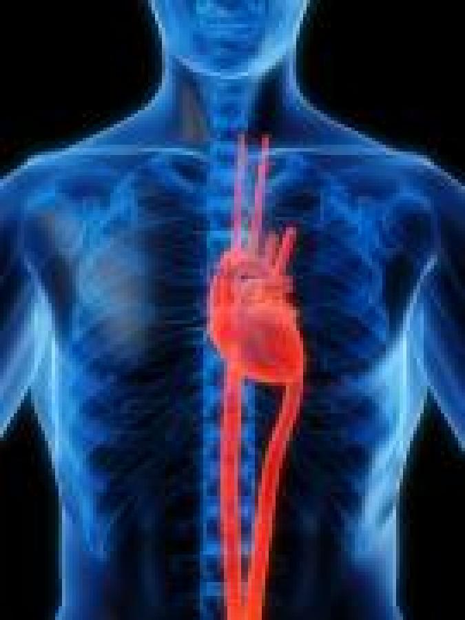 Simple steps to a healthy heart
