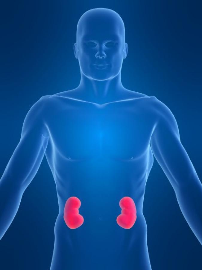 GENIE makes important diabetes discovery