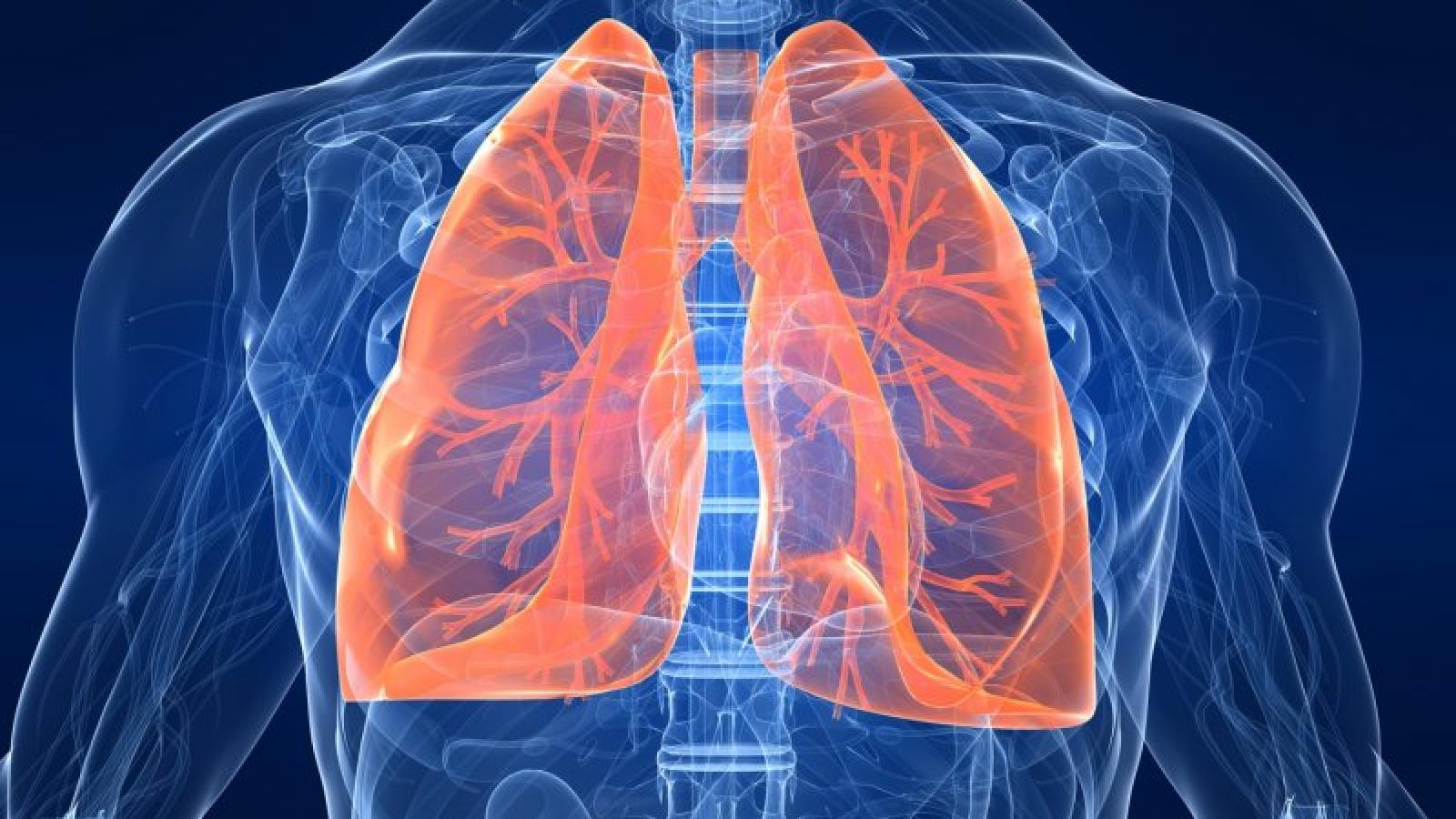 Get lung cancer aware for November