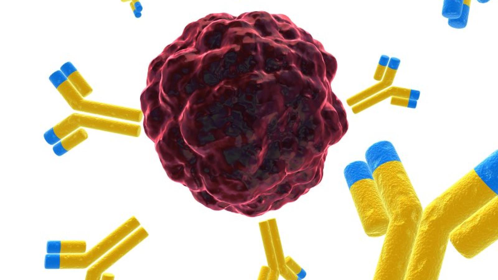 One third of cancers are preventable – reduce your risk now