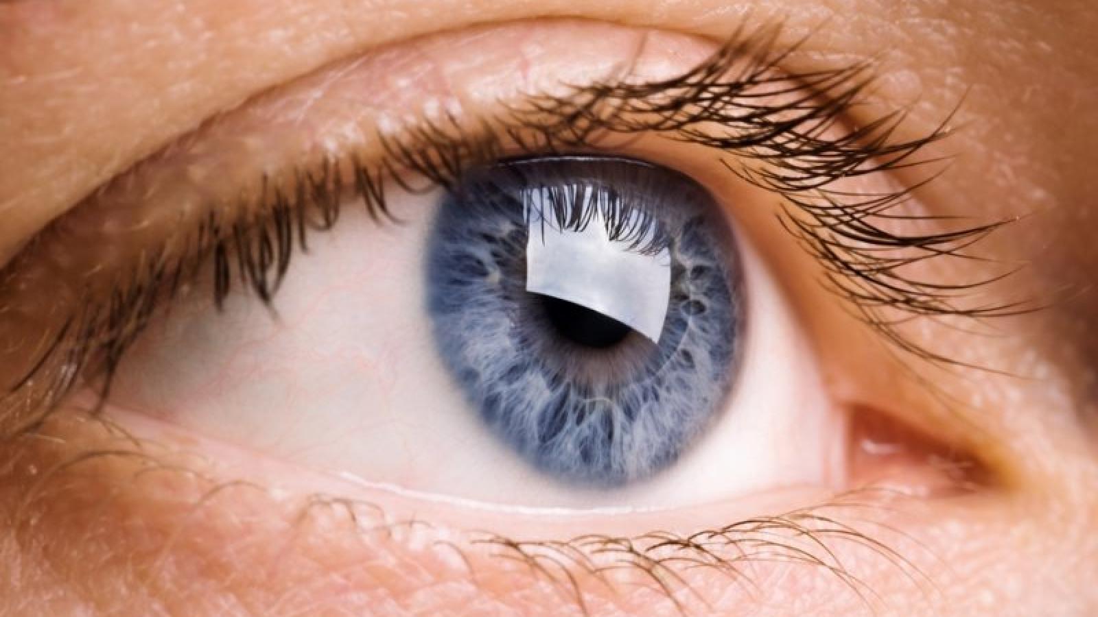 National Eye Health Week – your vision matters!